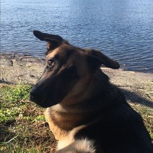 Meet your Posher, Adrianna